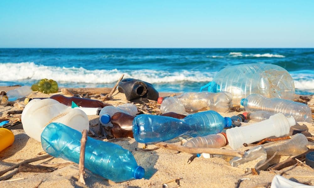 Harmful Effects of Plastic Water Bottles