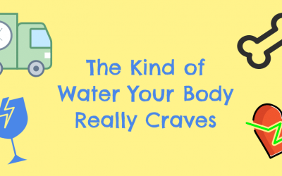 What Kind of Water Does Your Body Crave?